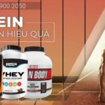 Protein Hỗ Trợ