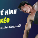 Hỗ trợ tập lưng (Kéo)