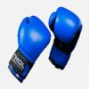 Bao tay boxing cao cấp THOL G006 chiến binh gymer đẳng cấp