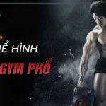 THOL Gym Phổ Nam