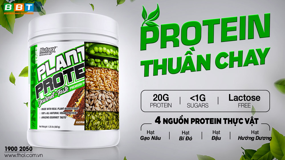 plan protein
