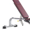 PROFORMANCE PLUS FLAT / INCLINE BENCH (PPF-701)-2293