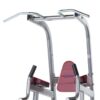 PROFORMANCE PLUS CHIN DIP LEG RAISE (PPF-720)