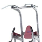 PROFORMANCE PLUS CHIN DIP LEG RAISE (PPF-720) PROFORMANCE PLUS CHIN DIP LEG RAISE (PPF-720)