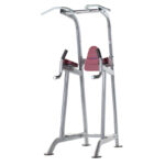 PROFORMANCE PLUS CHIN / DIP / LEG RAISE (PPF-720)-0