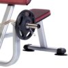 PROFORMANCE PLUS PREACHER CURL BENCH (PPF-706)