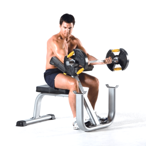 EVOLUTION SEATED ARM CURL BENCH