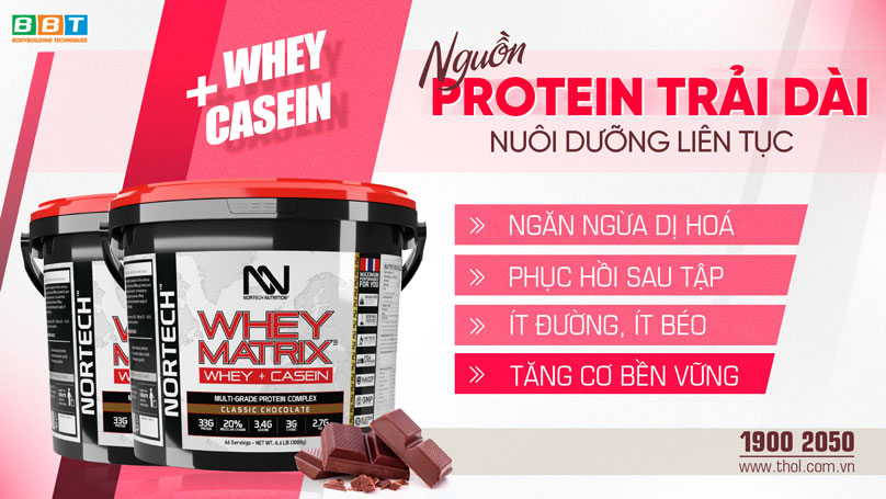 Nguồn Protein trải dài - nuôi dưỡng liên tục